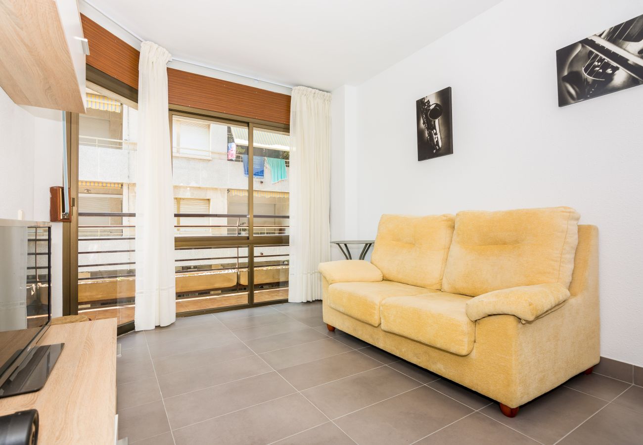 Apartment in Pineda de Mar - HomeHolidaysRentals Frida - Costa Barcelona