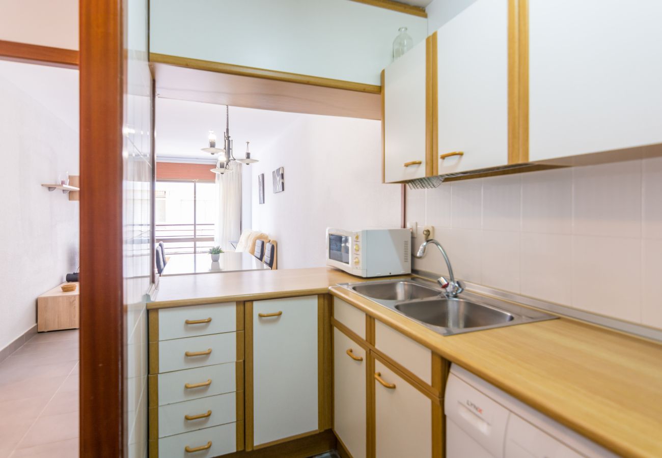 Apartment in Pineda de Mar - HomeHolidaysRentals Frida - Costa Barcelona
