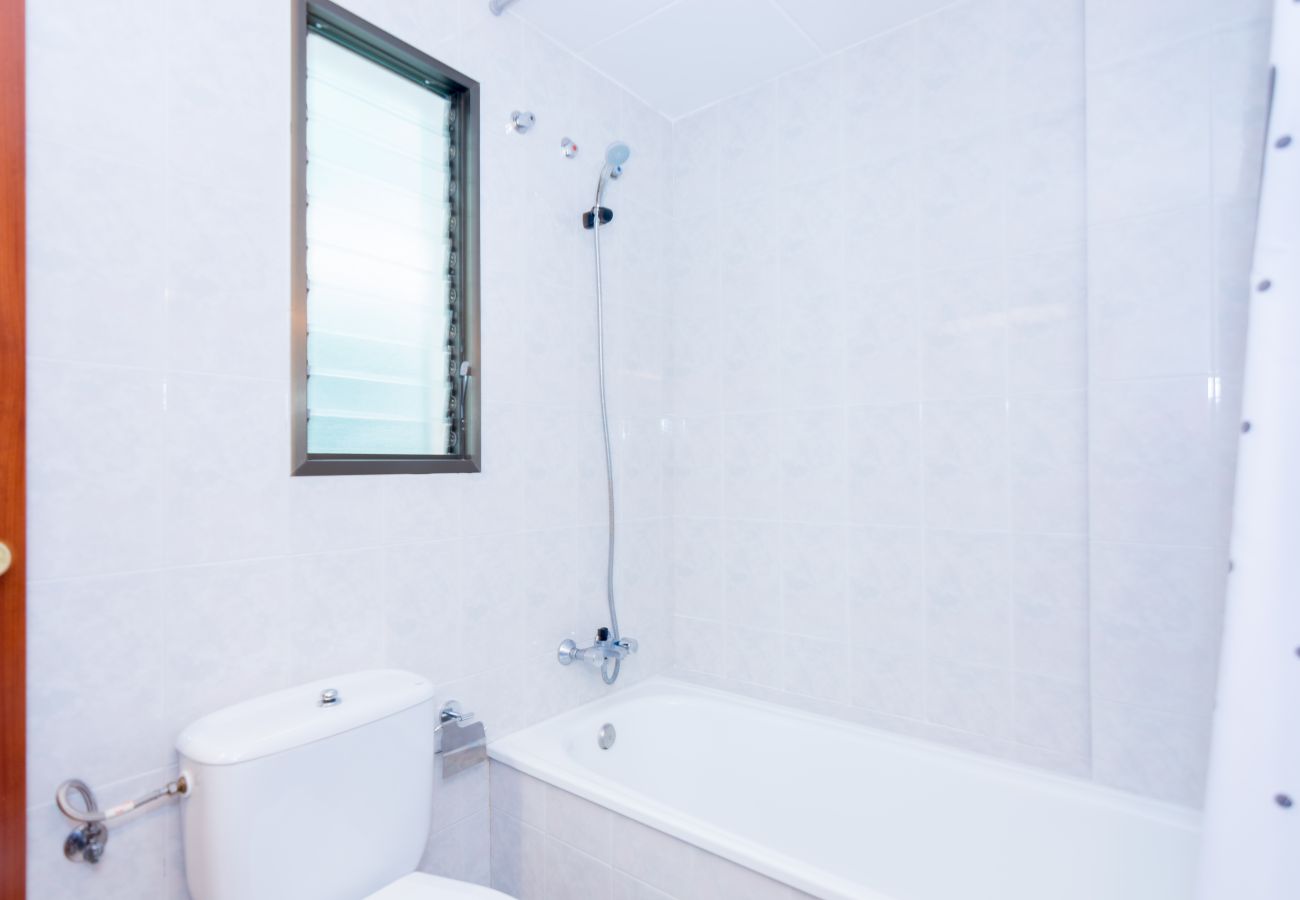 Apartment in Pineda de Mar - HomeHolidaysRentals Frida - Costa Barcelona