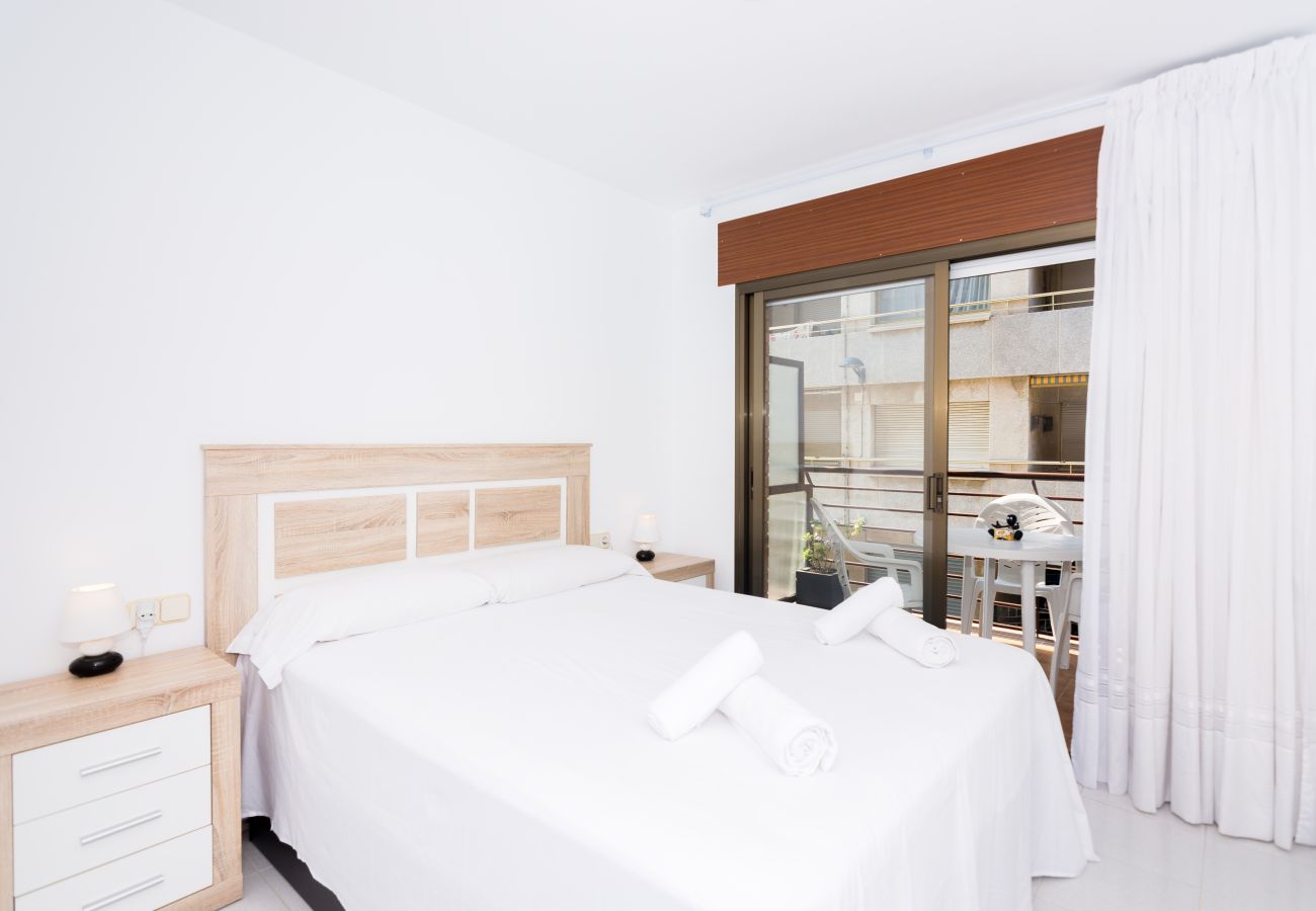 Apartment in Pineda de Mar - HomeHolidaysRentals Frida - Costa Barcelona