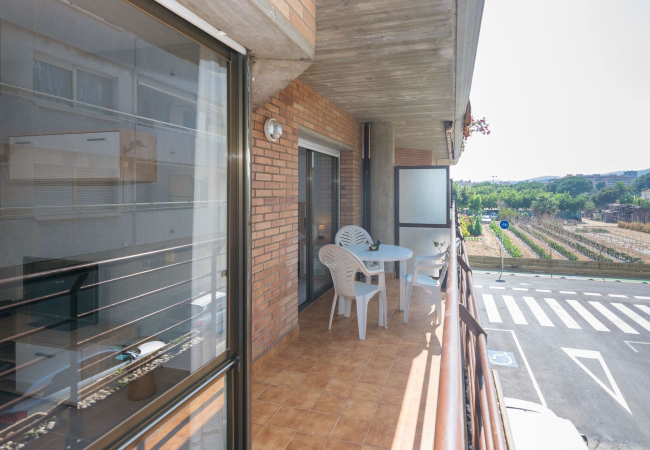 Apartment in Pineda de Mar - HomeHolidaysRentals Frida - Costa Barcelona
