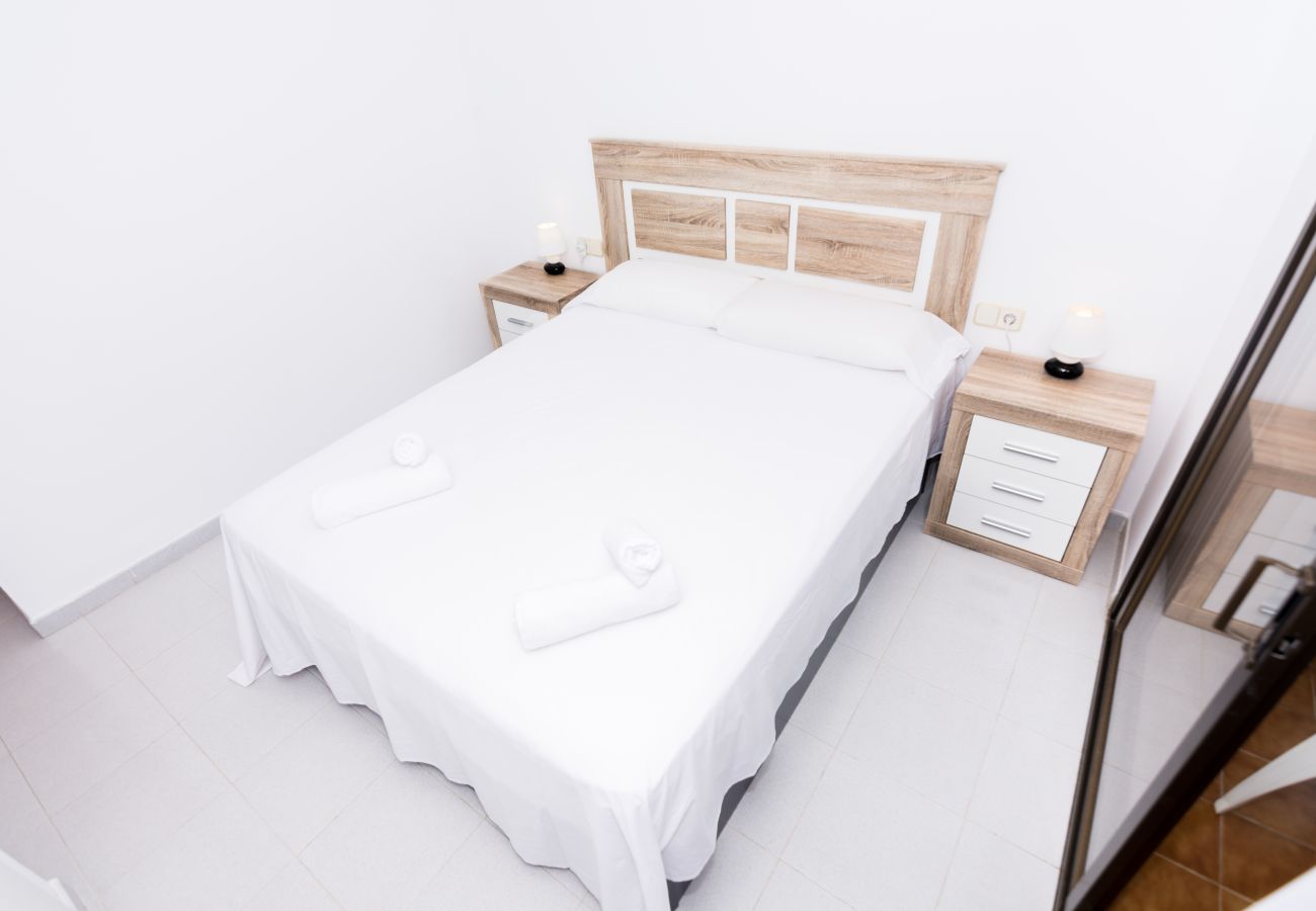Apartment in Pineda de Mar - HomeHolidaysRentals Frida - Costa Barcelona