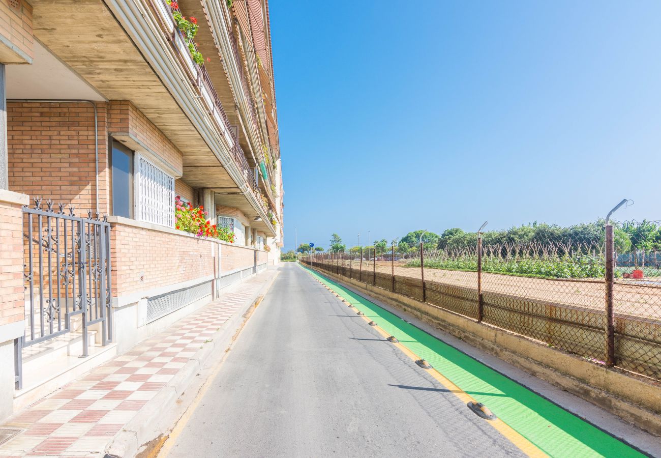 Apartment in Pineda de Mar - HomeHolidaysRentals Frida - Costa Barcelona