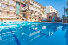 Apartment in Pineda de Mar - HomeHolidaysRentals Frida - Costa... Apartment in Pineda de Mar - HomeHolidaysRentals Frida - Costa...