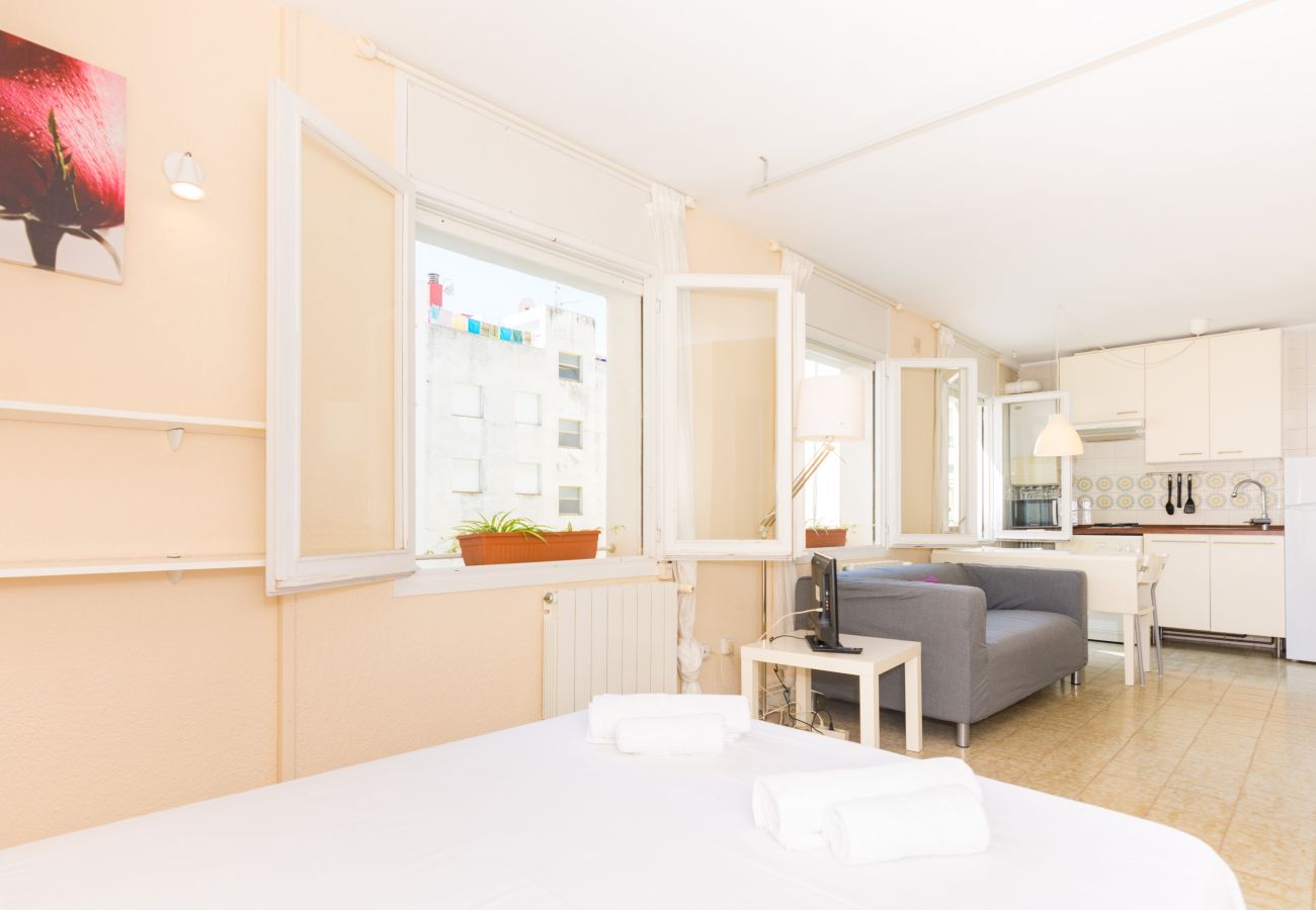 Studio in Pineda de Mar - HomeHolidaysRentals Diana - Costa Barcelona