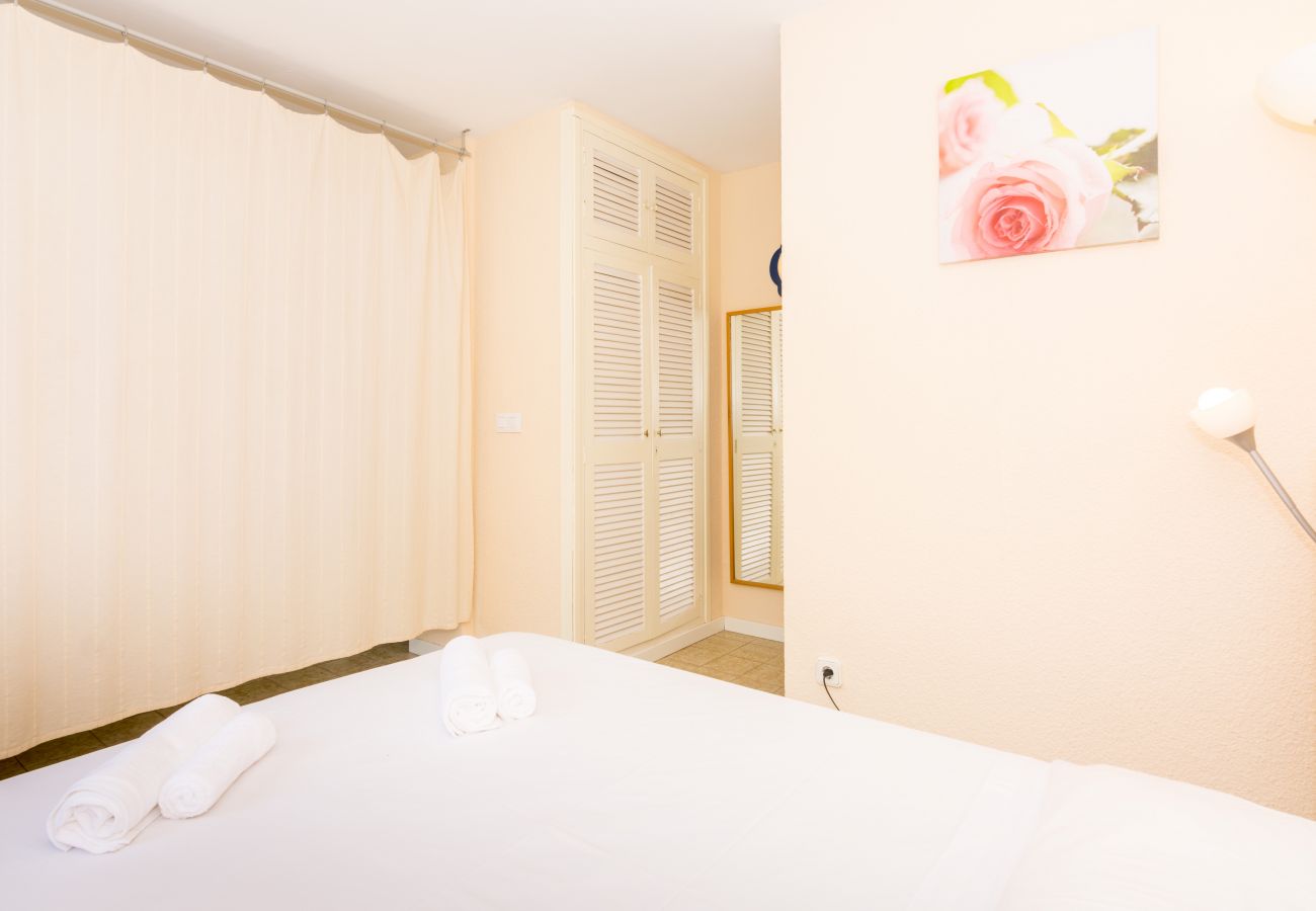 Studio in Pineda de Mar - HomeHolidaysRentals Diana - Costa Barcelona