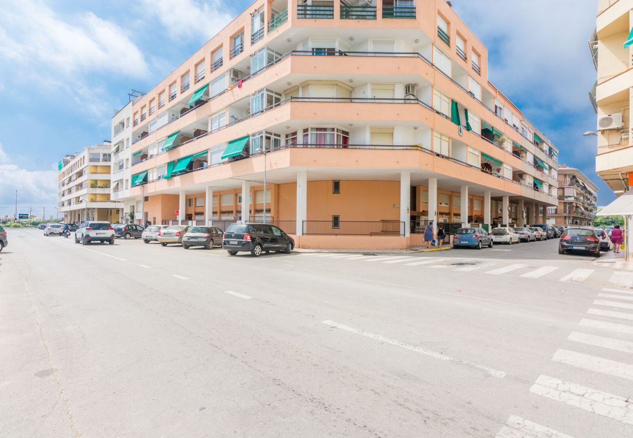 Studio in Pineda de Mar - HomeHolidaysRentals Diana - Costa Barcelona