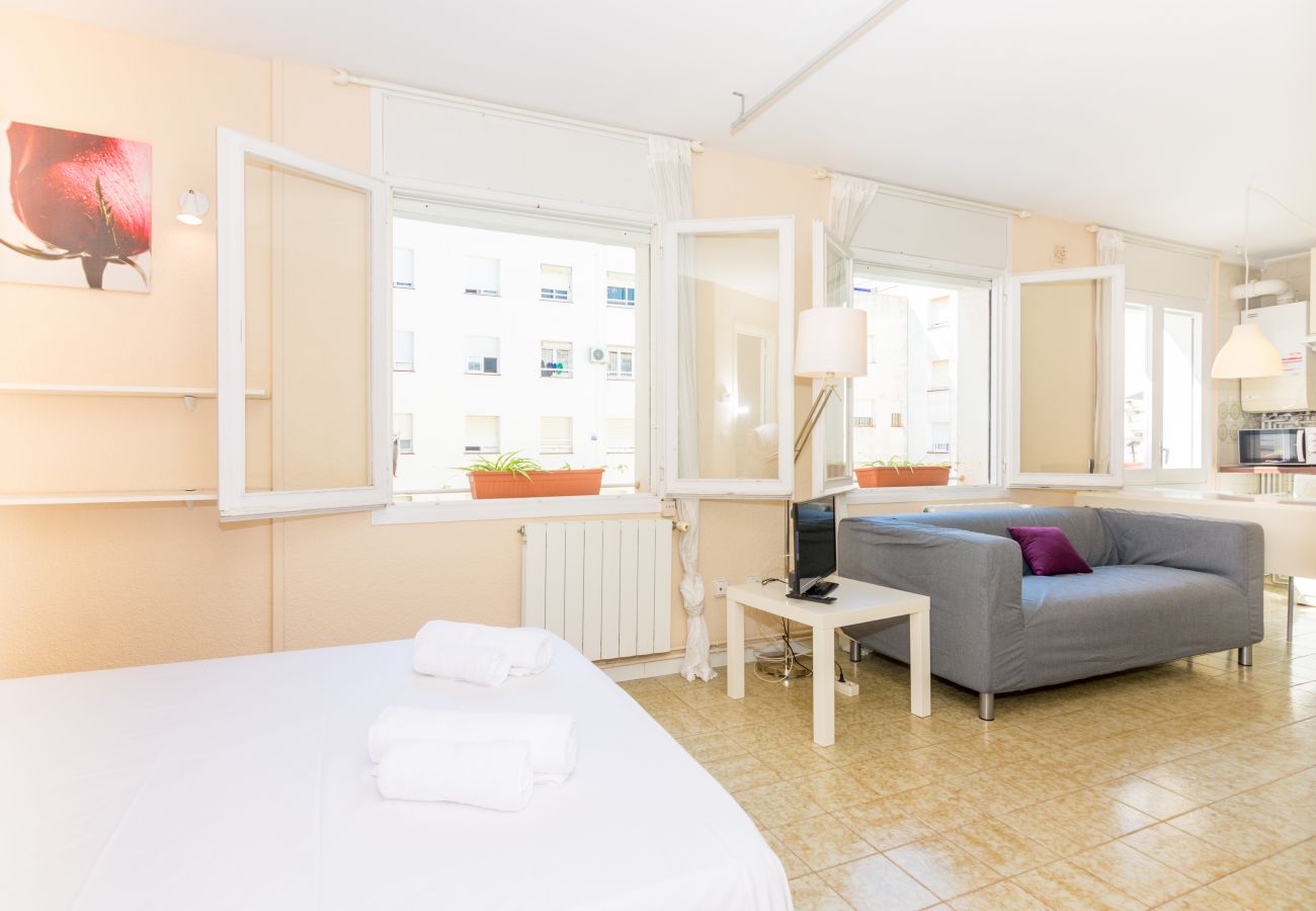 Studio in Pineda de Mar - HomeHolidaysRentals Diana - Costa Barcelona