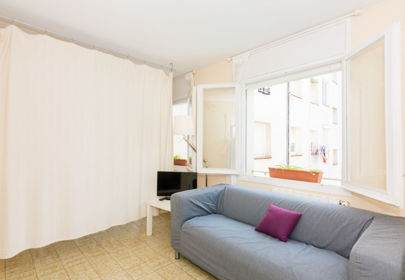 Studio in Pineda de Mar - HomeHolidaysRentals Diana - Costa Barcelona