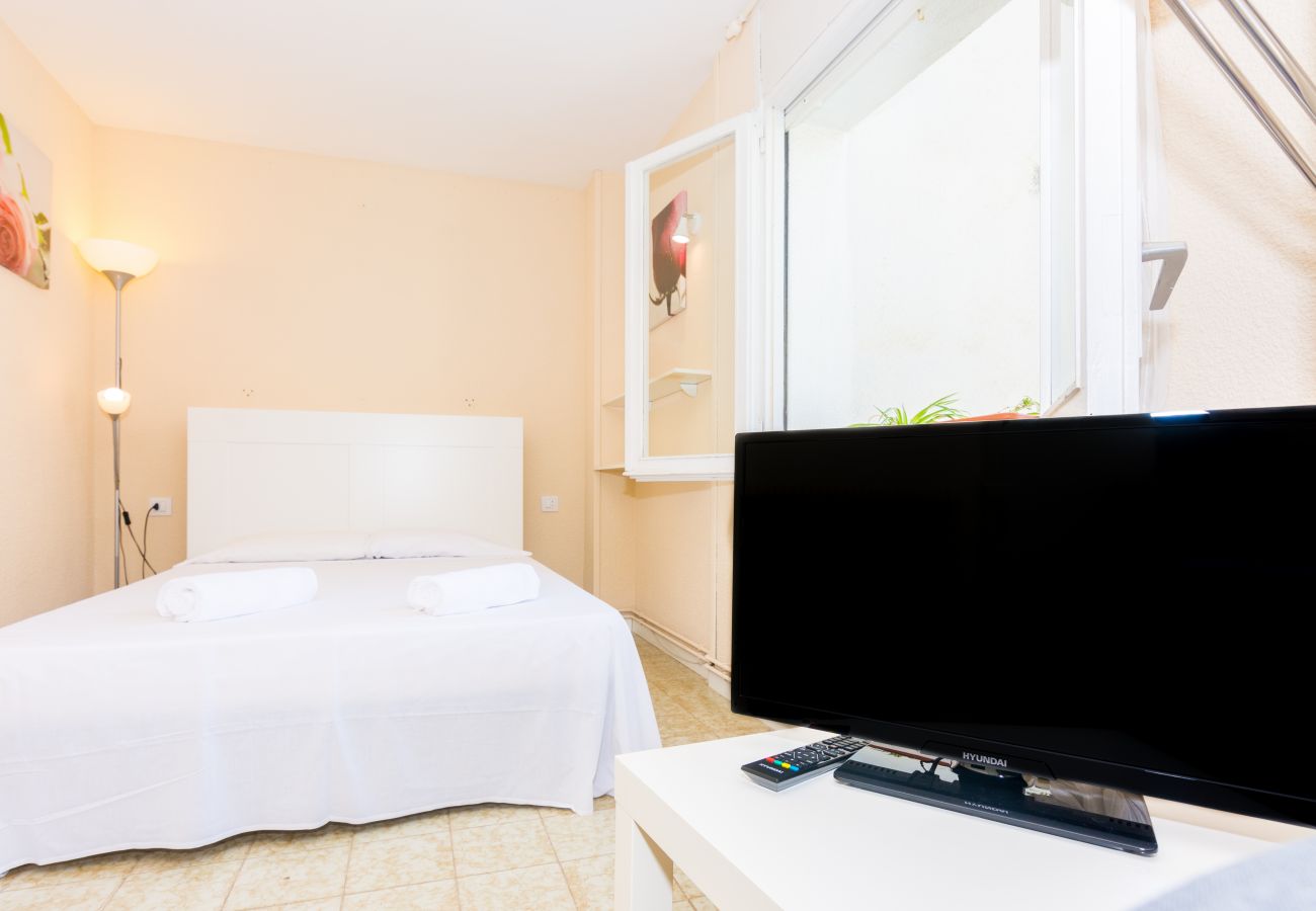 Studio in Pineda de Mar - HomeHolidaysRentals Diana - Costa Barcelona