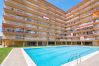 Apartment in Malgrat de Mar - HomeHolidaysRentals Bonte - Costa Barcelona