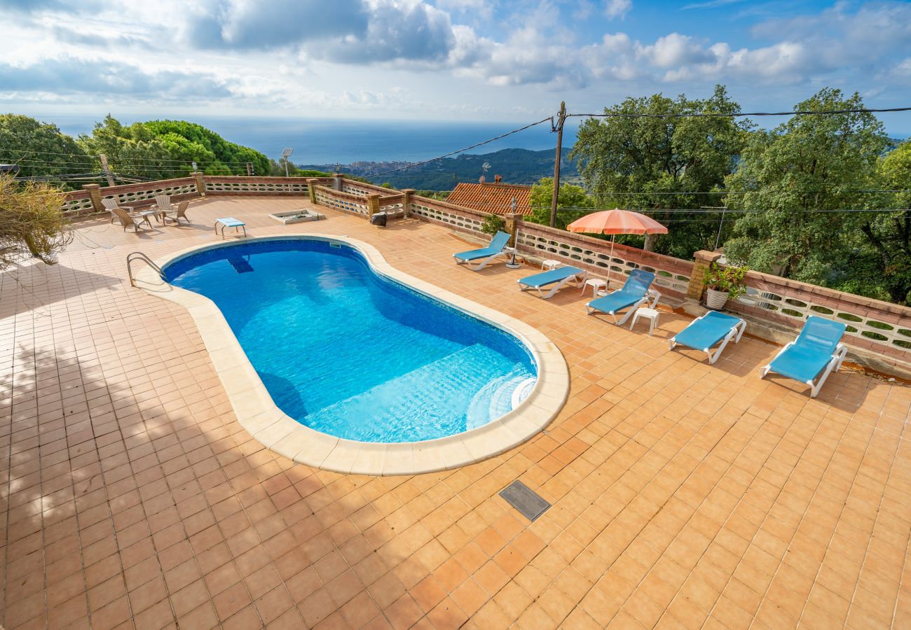 Villa in Pineda de Mar - HomeHolidaysRentals Malvina - Costa Barcelona