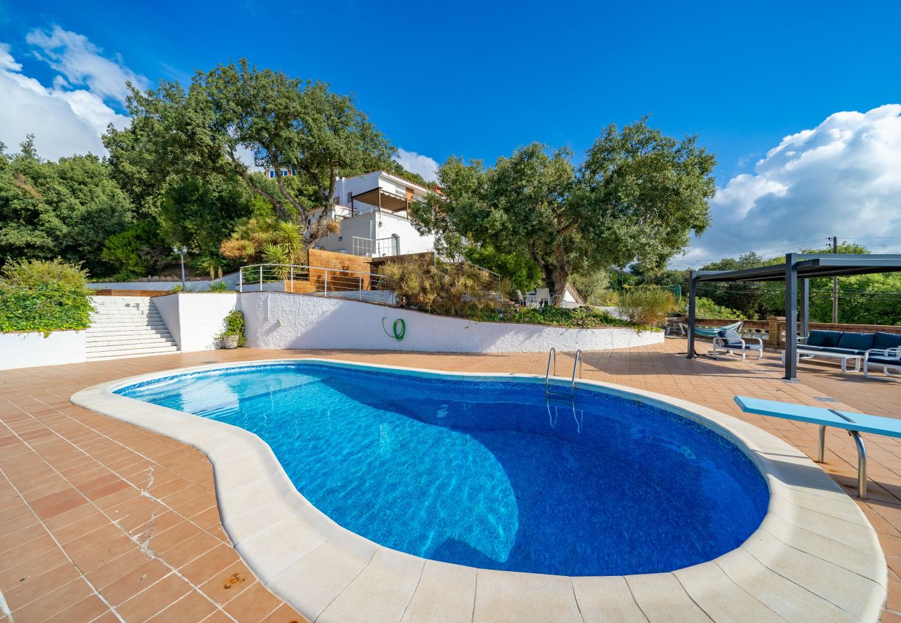 Villa in Pineda de Mar - HomeHolidaysRentals Malvina - Costa Barcelona