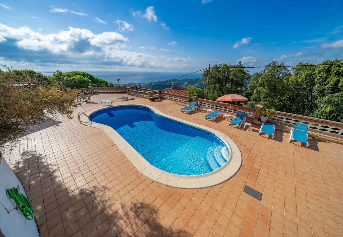 Villa in Pineda de Mar - HomeHolidaysRentals Malvina - Costa Barcelona