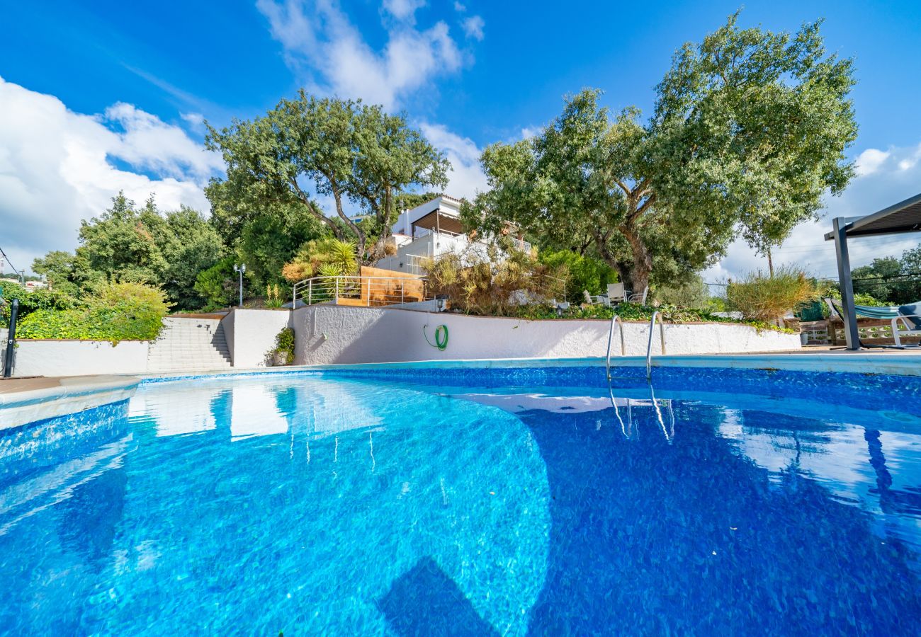Villa in Pineda de Mar - HomeHolidaysRentals Malvina - Costa Barcelona