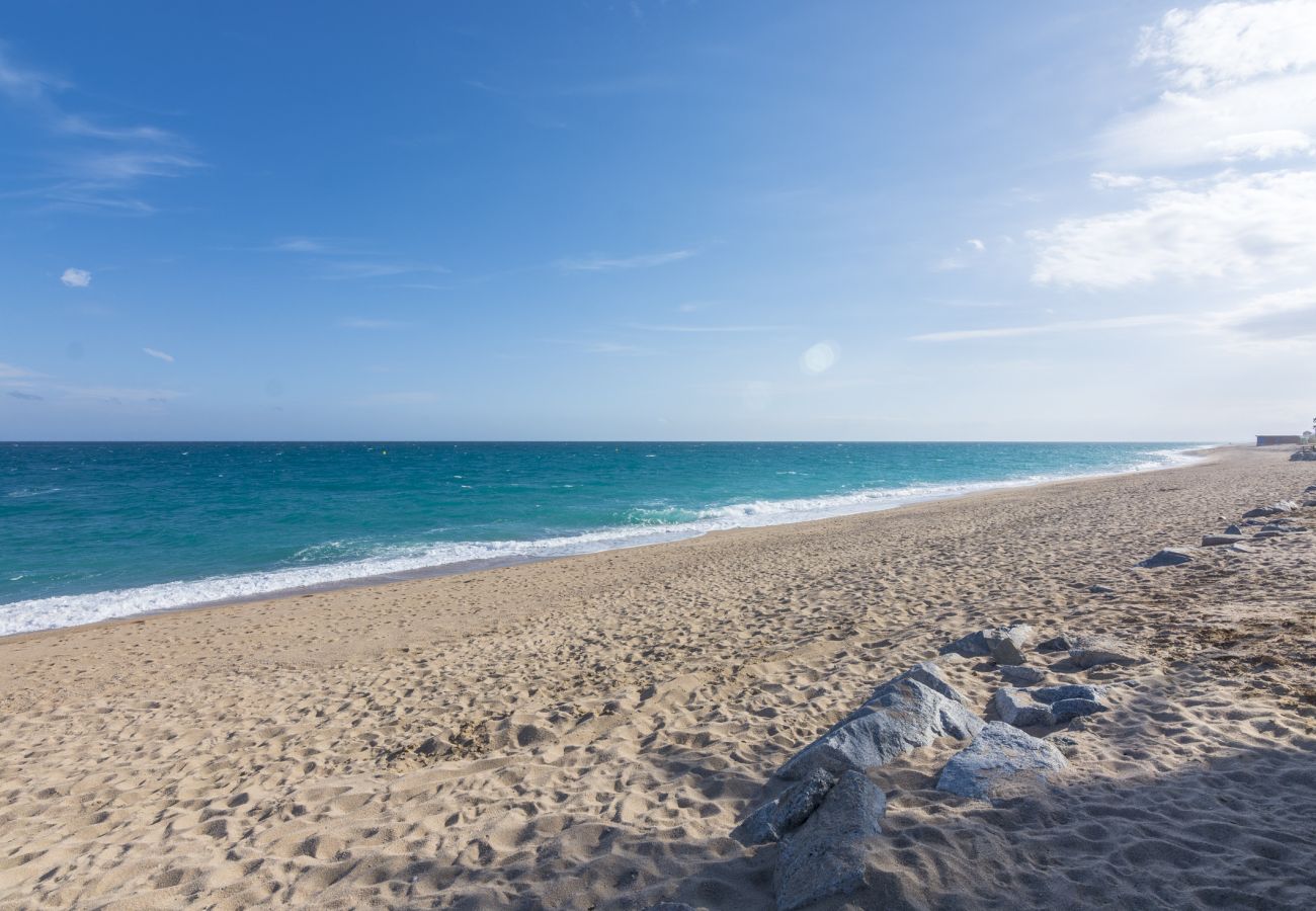 Villa in Pineda de Mar - HomeHolidaysRentals Malvina - Costa Barcelona