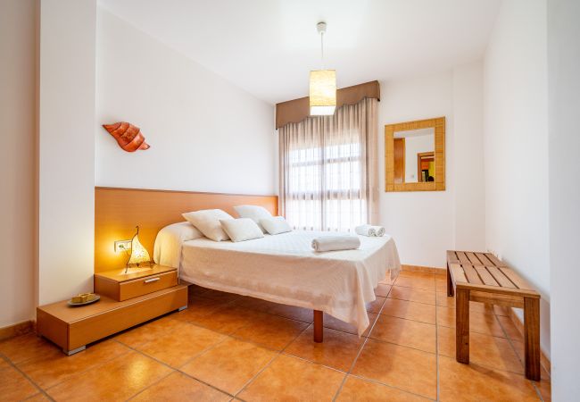 Apartment in Pineda de Mar - HomeHolidaysRentals Adara - Costa Barcelona