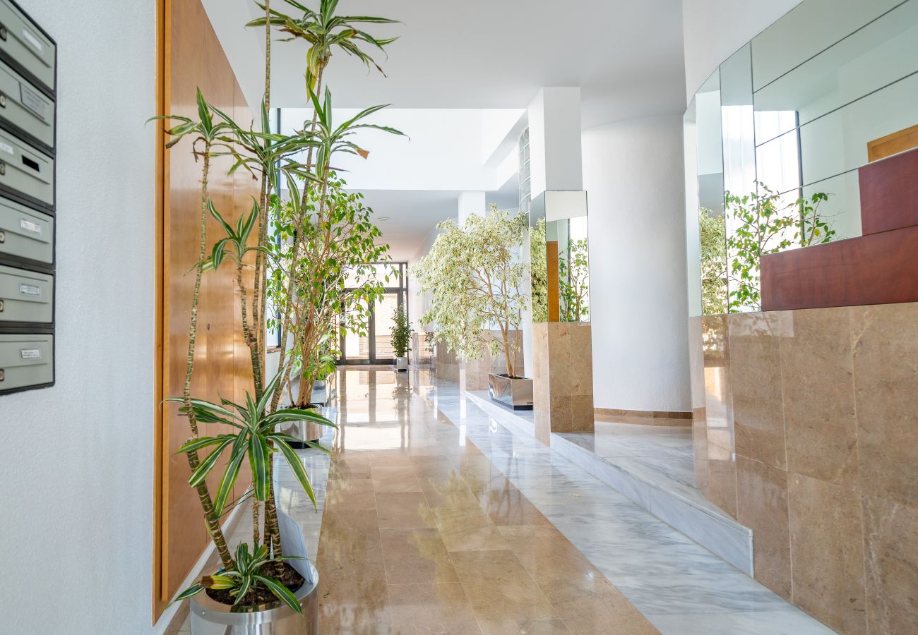 Apartment in Pineda de Mar - HomeHolidaysRentals Adara - Costa Barcelona