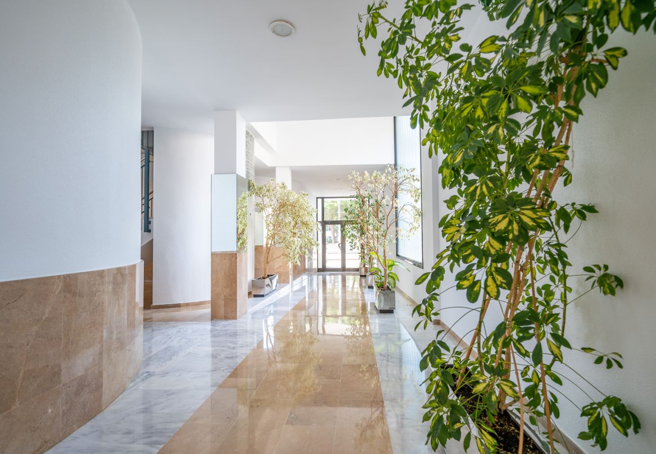 Apartment in Pineda de Mar - HomeHolidaysRentals Adara - Costa Barcelona