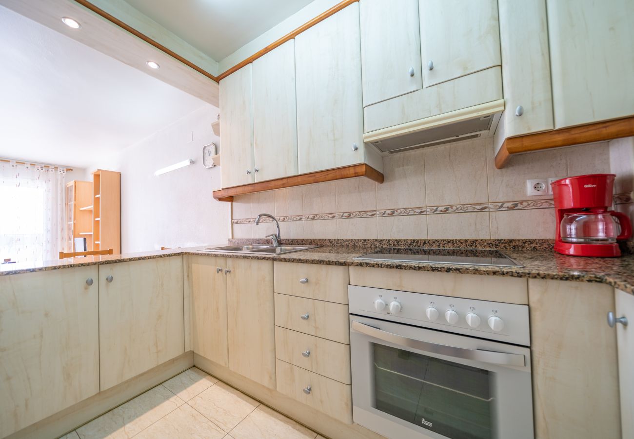 Apartment in Pineda de Mar - HomeHolidaysRentals Destan - Costa Barcelona