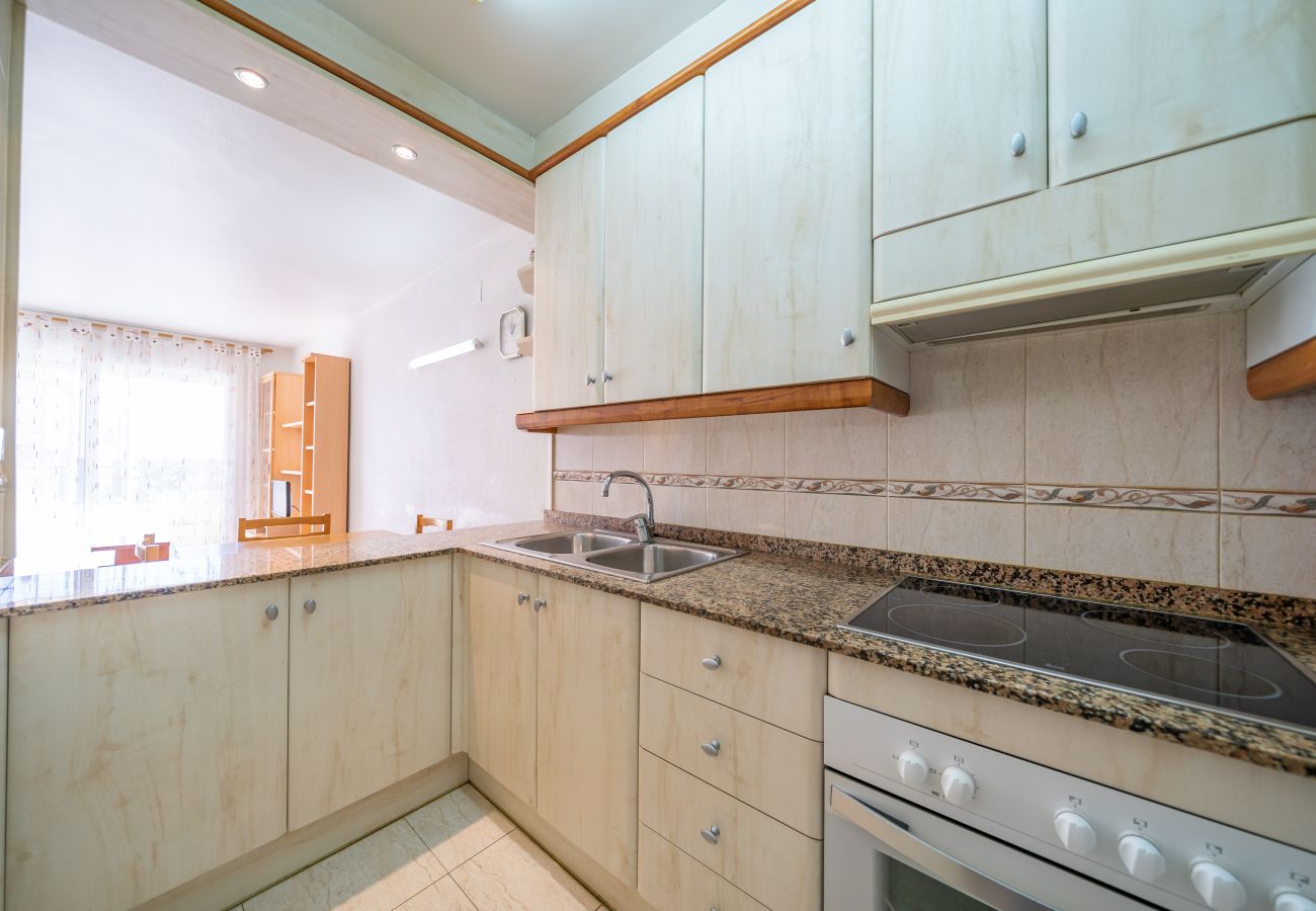 Apartment in Pineda de Mar - HomeHolidaysRentals Destan - Costa Barcelona