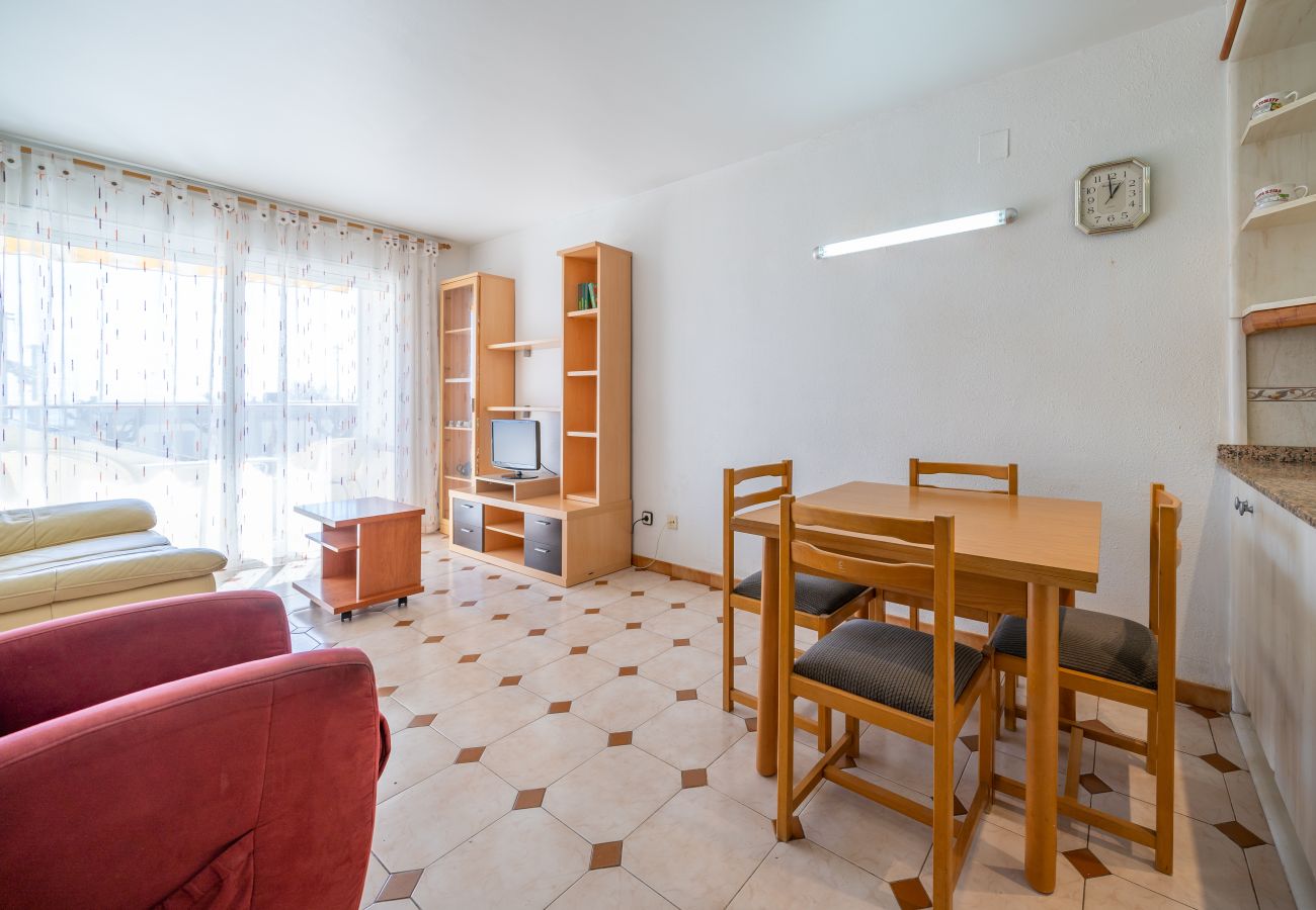 Apartment in Pineda de Mar - HomeHolidaysRentals Destan - Costa Barcelona