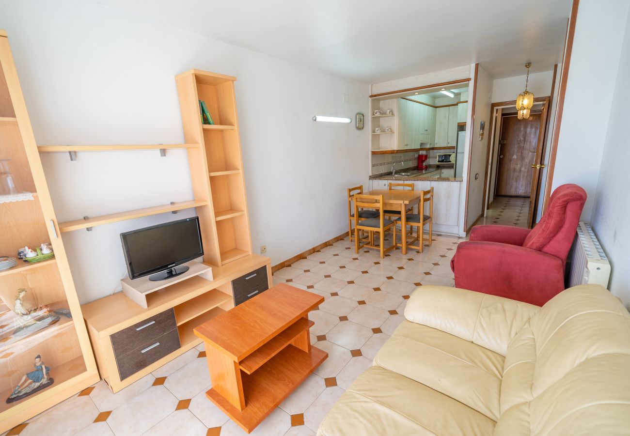 Apartment in Pineda de Mar - HomeHolidaysRentals Destan - Costa Barcelona