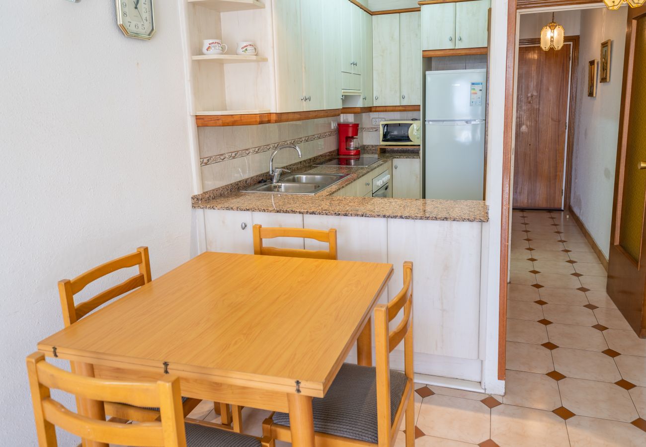 Apartment in Pineda de Mar - HomeHolidaysRentals Destan - Costa Barcelona