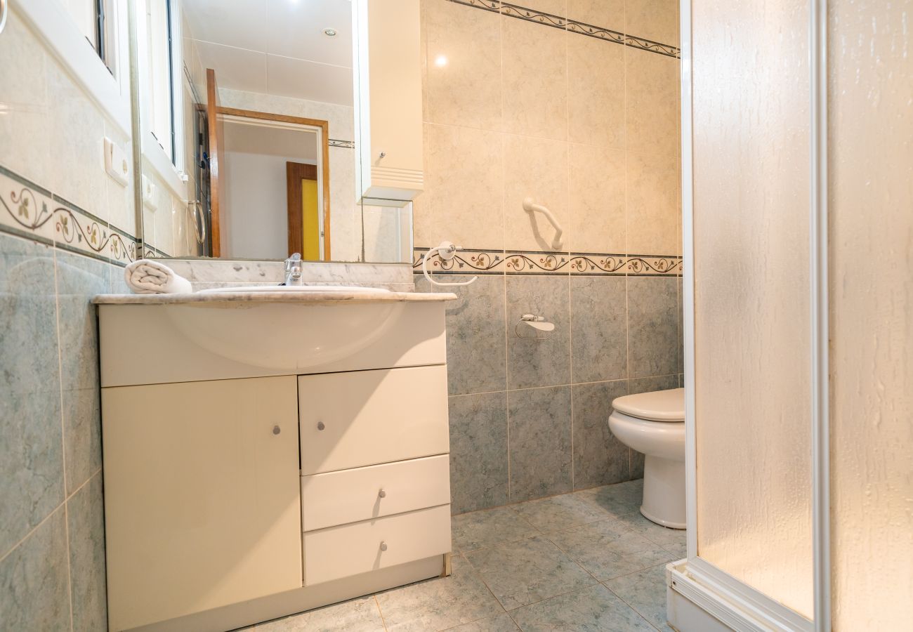 Apartment in Pineda de Mar - HomeHolidaysRentals Destan - Costa Barcelona