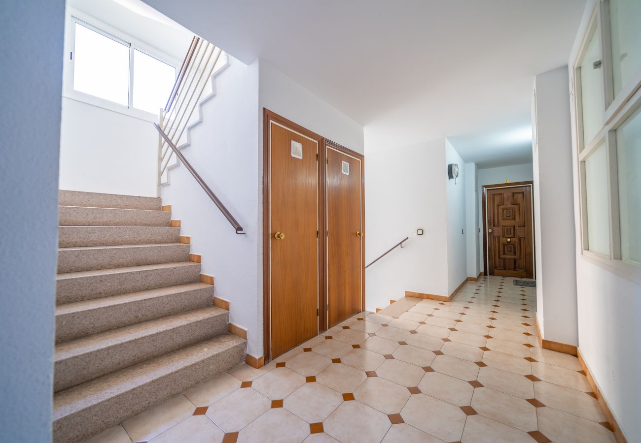 Apartment in Pineda de Mar - HomeHolidaysRentals Destan - Costa Barcelona