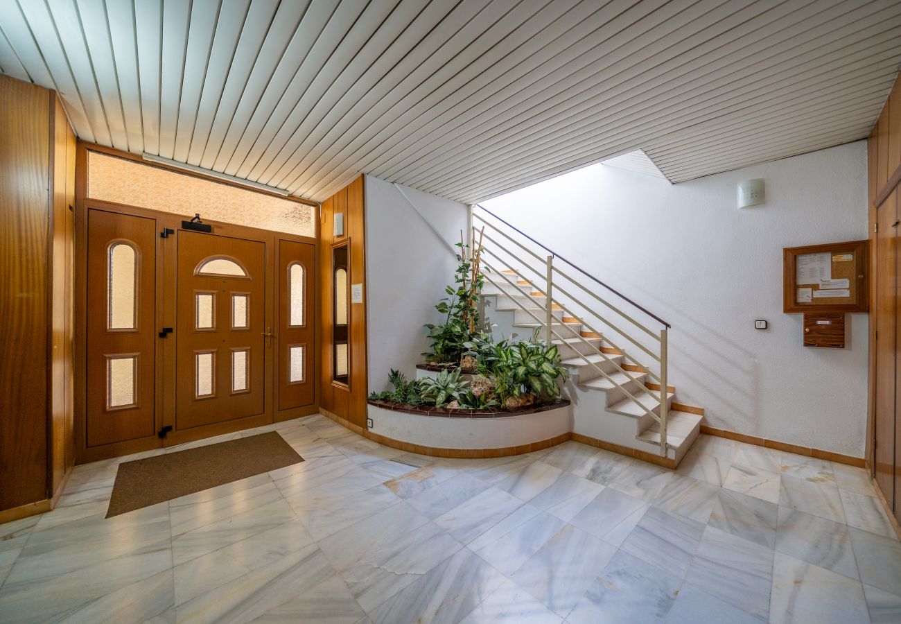 Apartment in Pineda de Mar - HomeHolidaysRentals Destan - Costa Barcelona