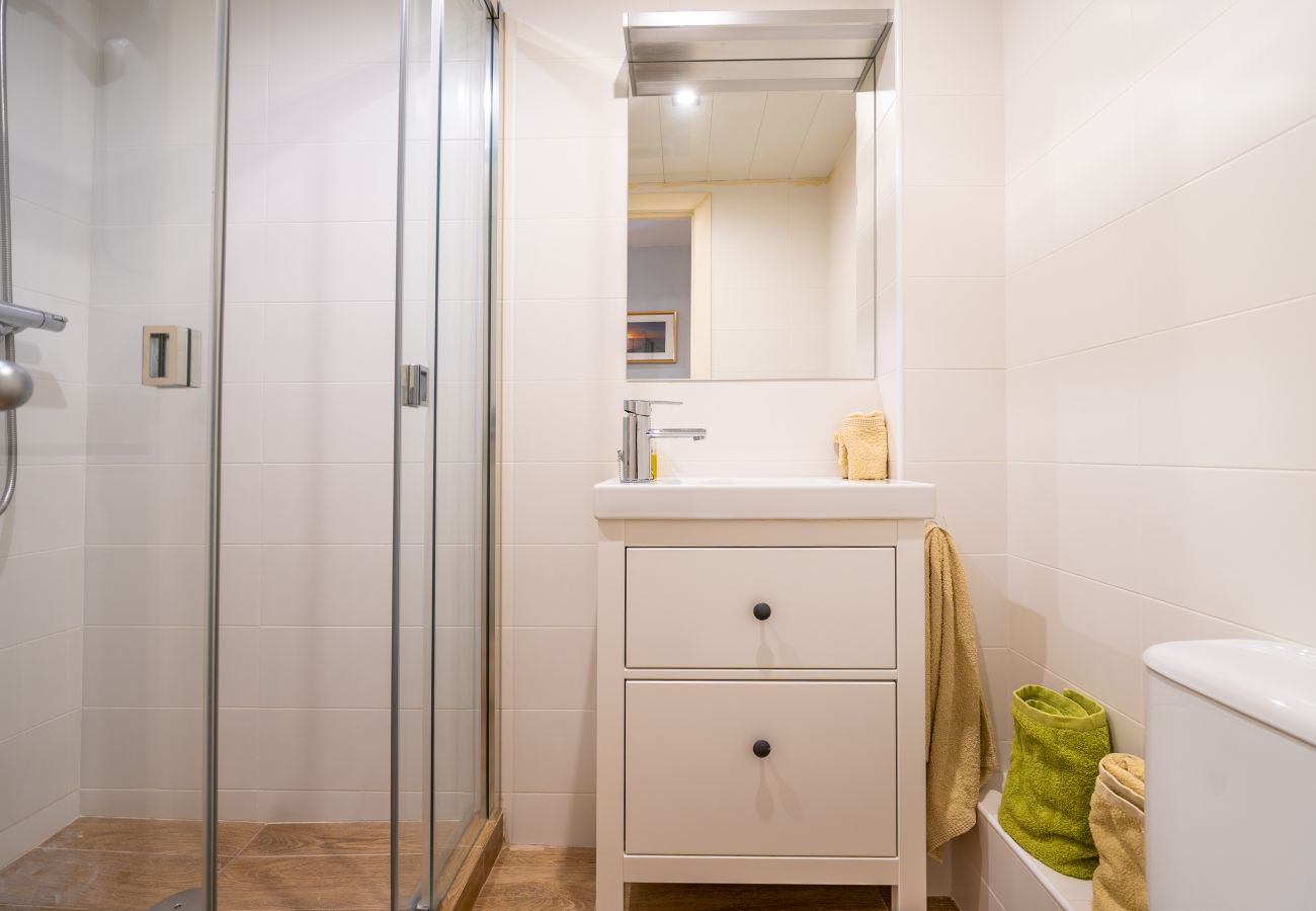 Apartment in Pineda de Mar - HomeHolidaysRentals Plume - Costa Barcelona