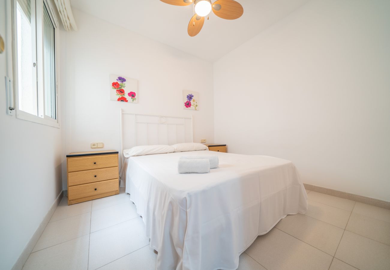 Apartment in Pineda de Mar - HomeHolidaysRentals Margot - Costa Barcelona