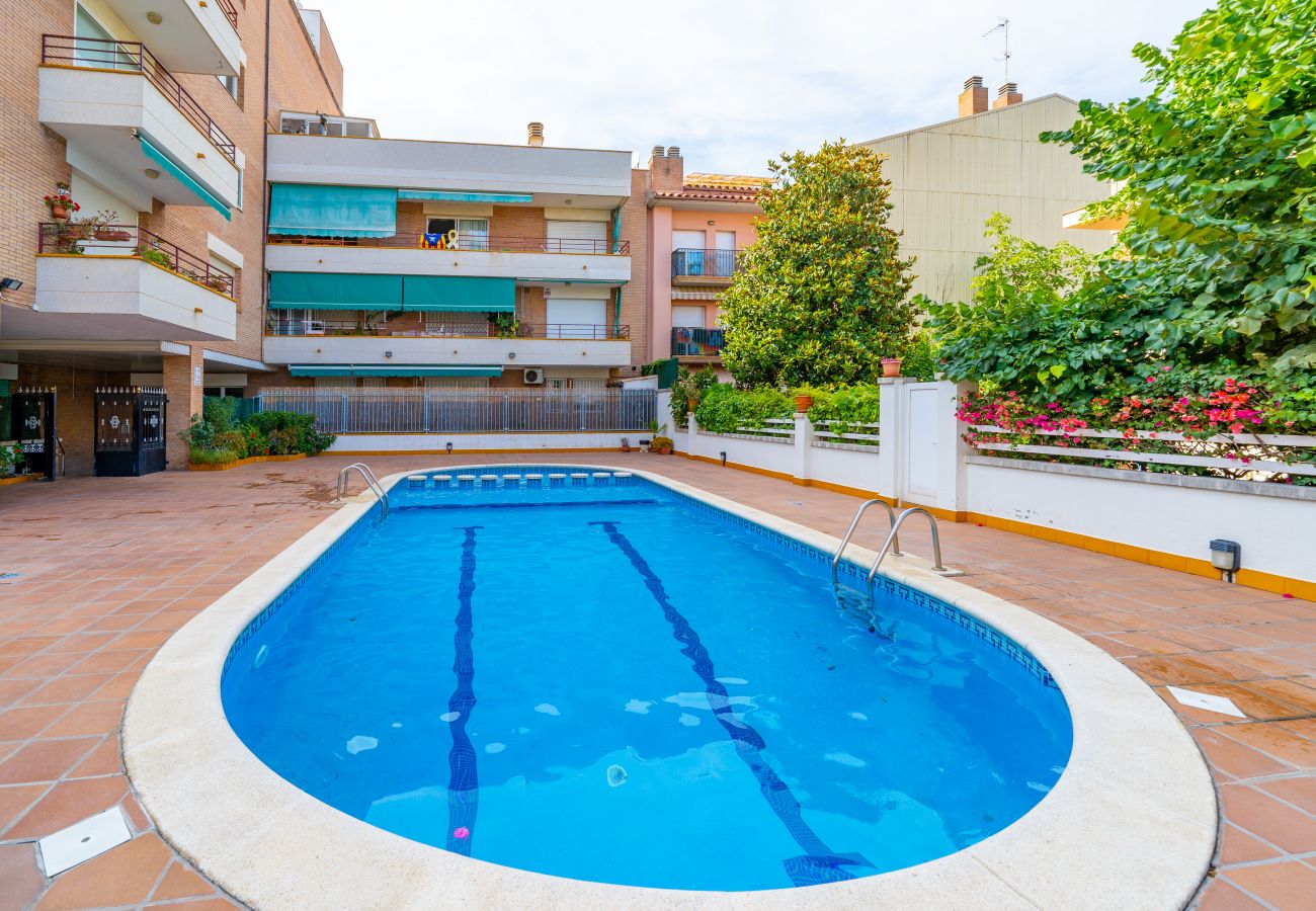 Apartment in Pineda de Mar - HomeHolidaysRentals Margot - Costa Barcelona