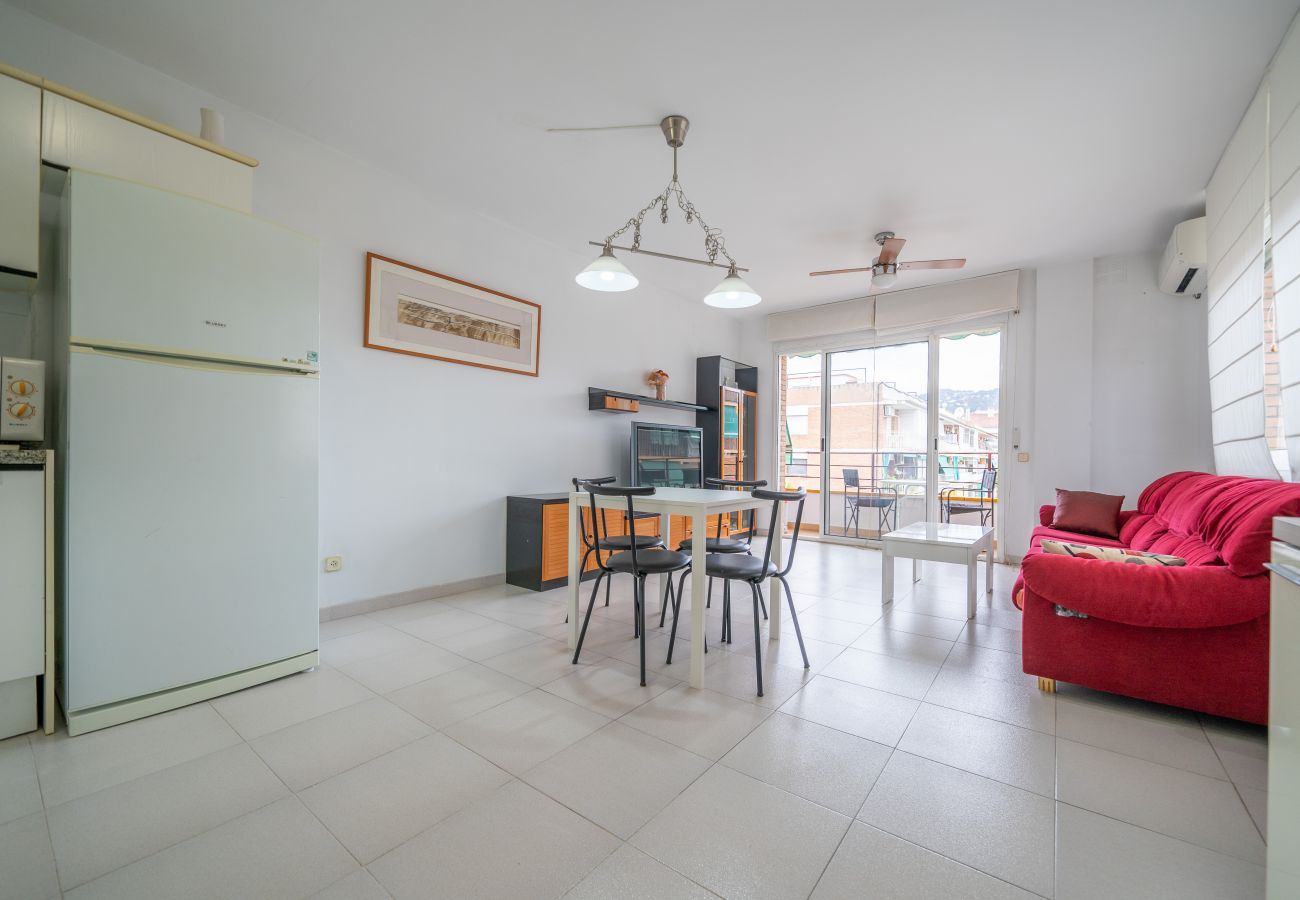Apartment in Pineda de Mar - HomeHolidaysRentals Margot - Costa Barcelona
