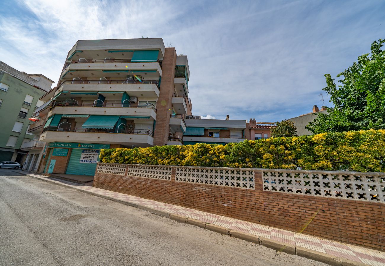 Apartment in Pineda de Mar - HomeHolidaysRentals Margot - Costa Barcelona