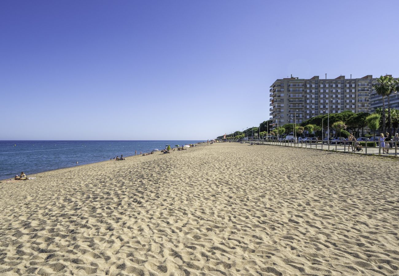 Apartment in Blanes - HomeHolidaysRentals Blanesmar - Costa Brava
