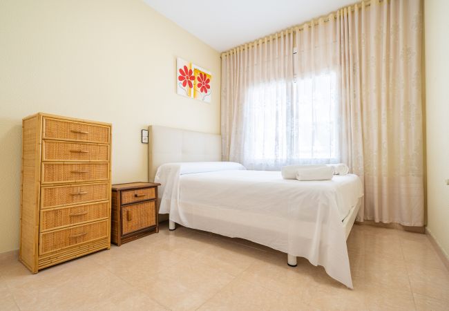Apartment in Pineda de Mar - HomeHolidaysRentals Dona - Costa Barcelona
