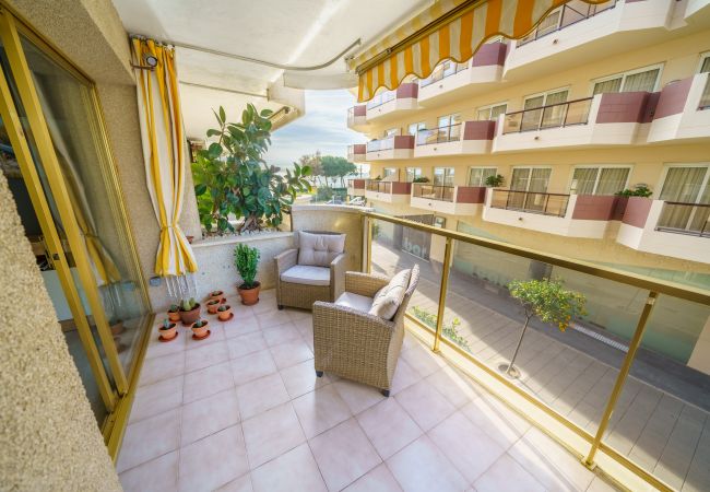 Apartment in Pineda de Mar - HomeHolidaysRentals Liberty - Costa Barcelona
