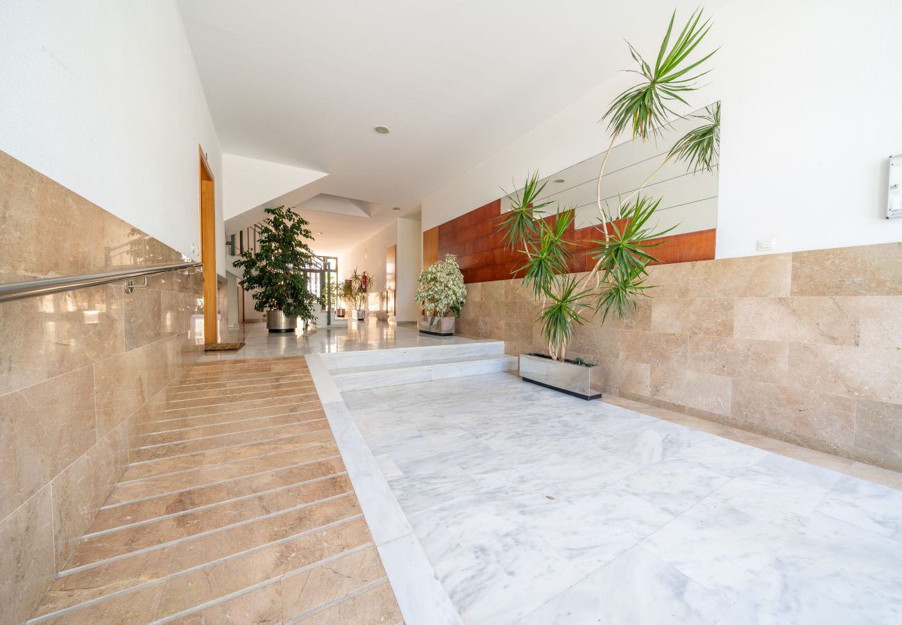 Apartment in Pineda de Mar - HomeHolidaysRentals Fortuny - Costa Barcelona