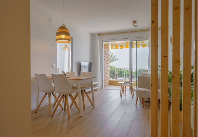Apartment in Pineda de Mar - HomeHolidaysRentals Delmare - Costa Barcelona