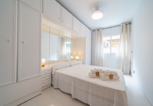 Apartment in Pineda de Mar - HomeHolidaysRentals Caliz - Costa Barcelona