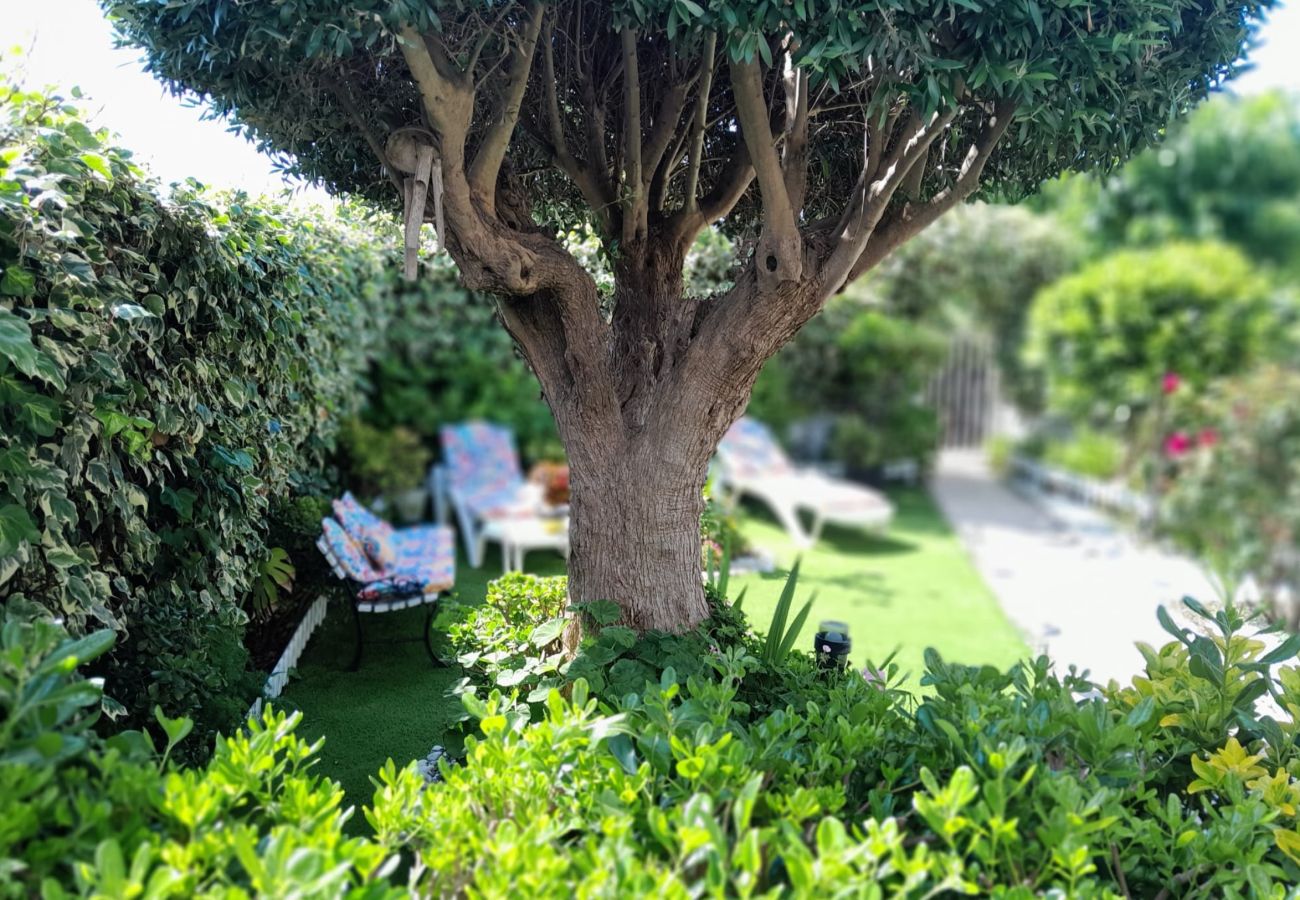 Townhouse in Sant Pol de Mar - HomeHolidaysRentals Ancora - Costa Barcelona