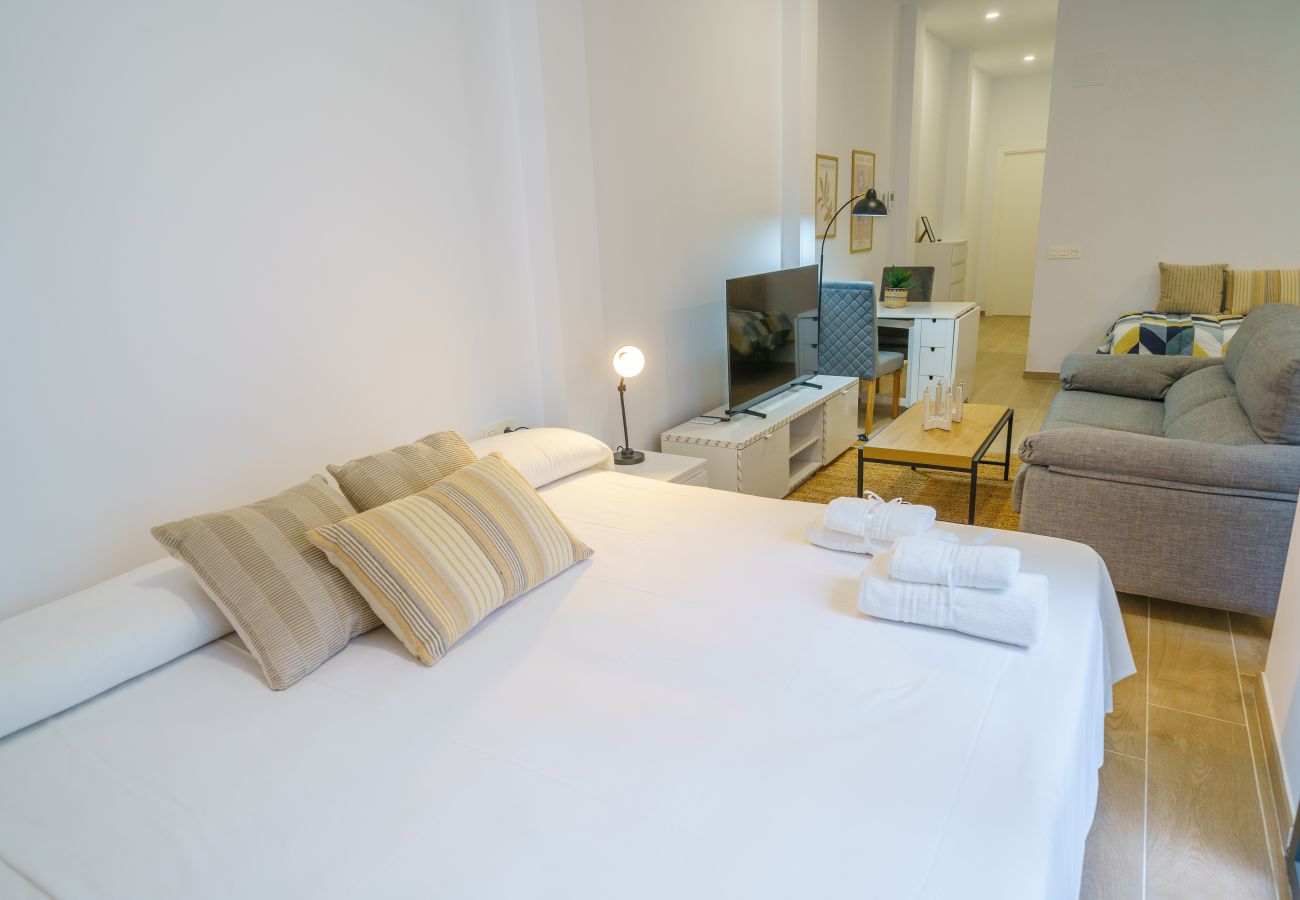Studio in Pineda de Mar - HomeHolidaysRentals Mana - Costa Barcelona