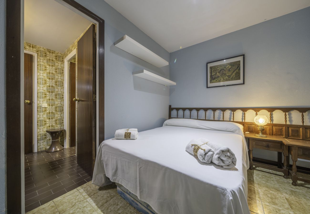 Apartment in Pineda de Mar - HomeHolidaysRentals Singular  - Costa Barcelona