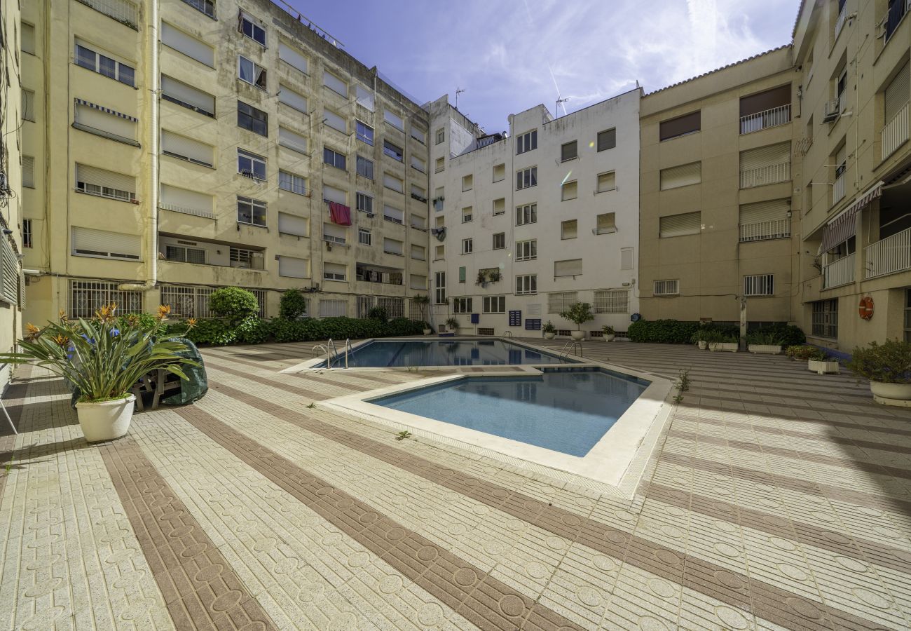 Apartment in Pineda de Mar - HomeHolidaysRentals Singular  - Costa Barcelona