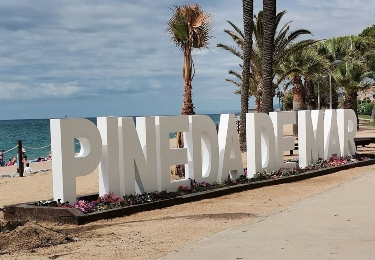 Apartment in Pineda de Mar - HomeHolidaysRentals Singular  - Costa Barcelona