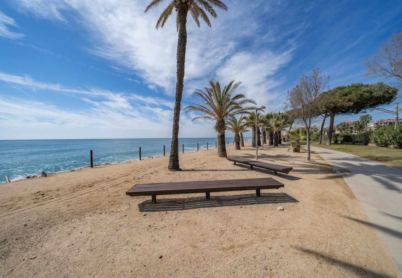 Apartment in Pineda de Mar - HomeHolidaysRentals Singular  - Costa Barcelona