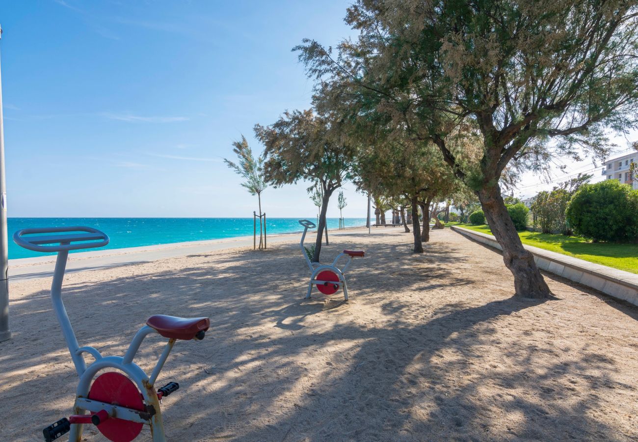 Apartment in Pineda de Mar - HomeHolidaysRentals Singular  - Costa Barcelona