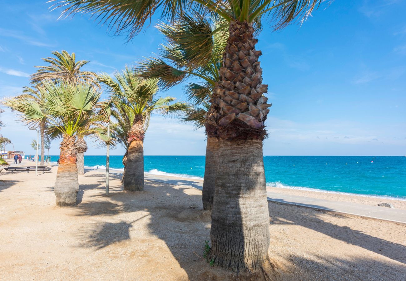 Apartment in Pineda de Mar - HomeHolidaysRentals Singular  - Costa Barcelona